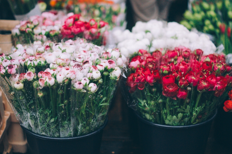 fleuriste-SPERACEDES-min_farmers-market-1209712